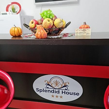 Splendid House Hotel Fagaras Luaran gambar