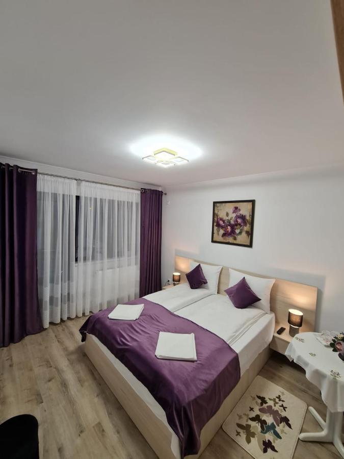 Splendid House Hotel Fagaras Luaran gambar
