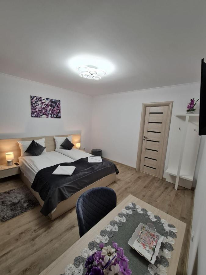 Splendid House Hotel Fagaras Luaran gambar