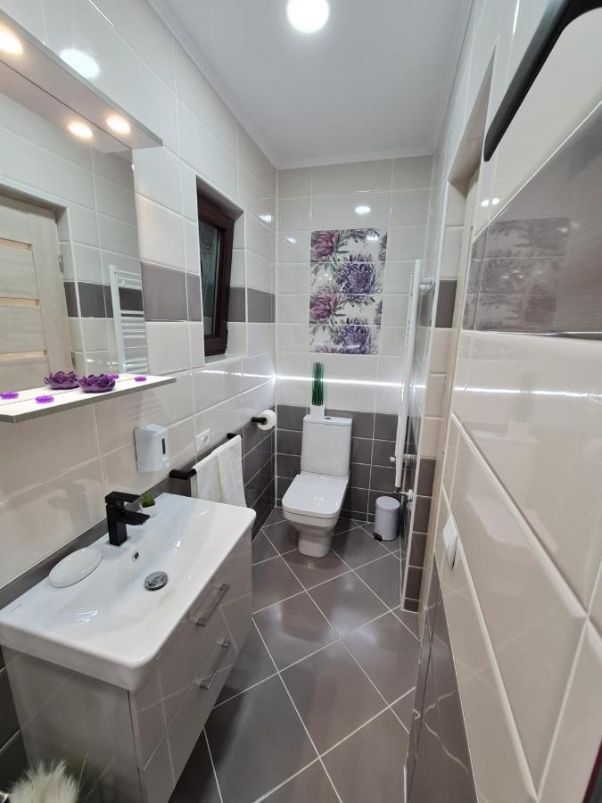 Splendid House Hotel Fagaras Luaran gambar